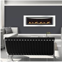 Napoleon LHD50 DV fireplace